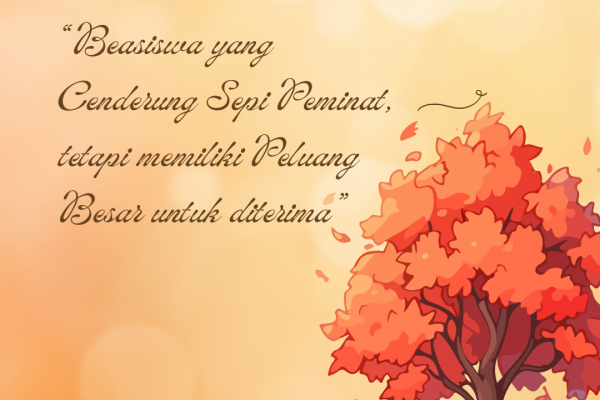 Beasiswa yang Cenderung Sepi Peminat, tetapi memiliki Peluang Besar untuk diterima
