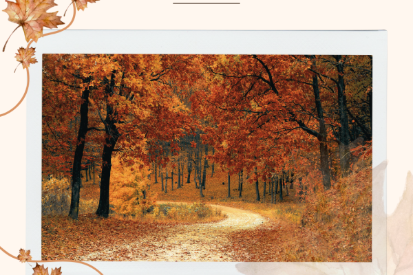 Serba – Serbi Latvia